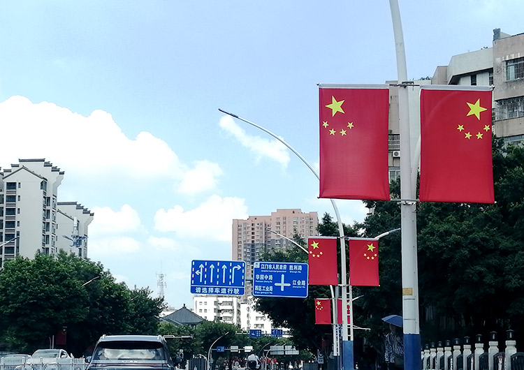 国庆道路灯旗